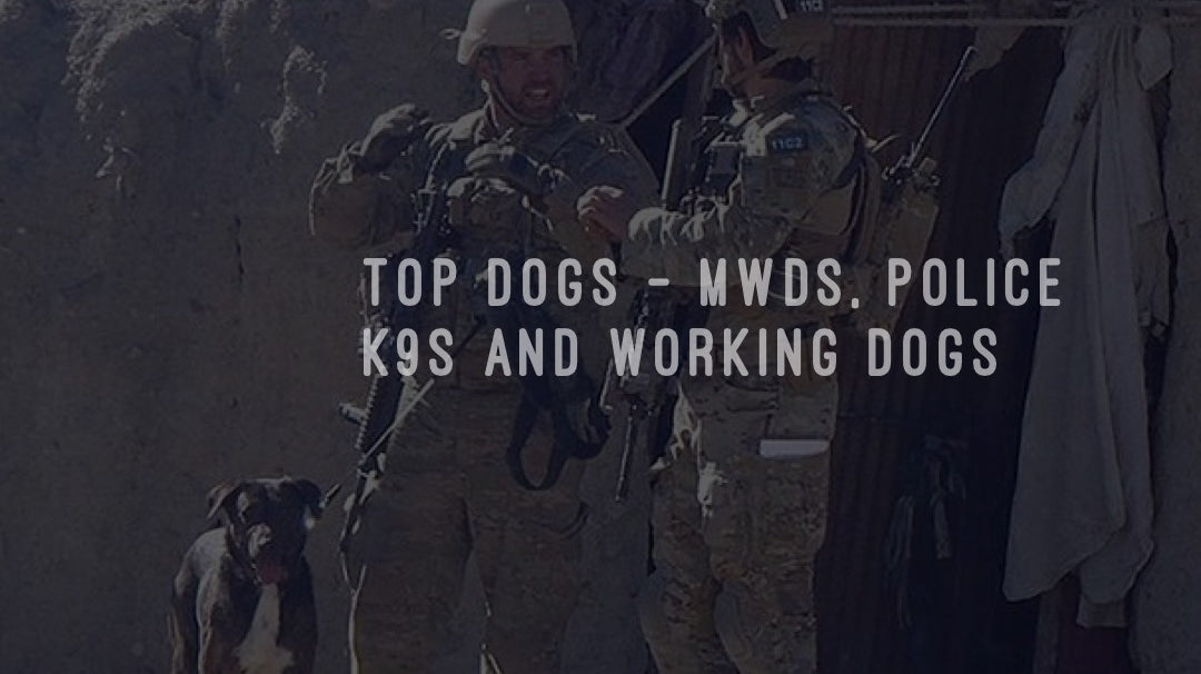 Top Dogs - MWDs, Police K9s and Working Dogs
