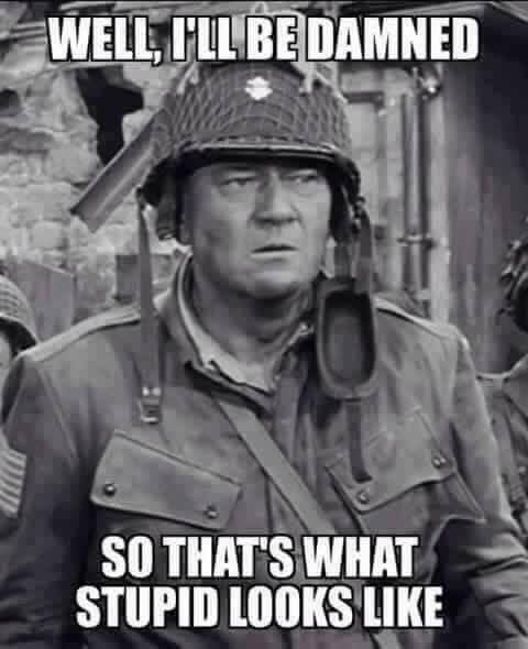 The Misadventures of Private Pea Brain