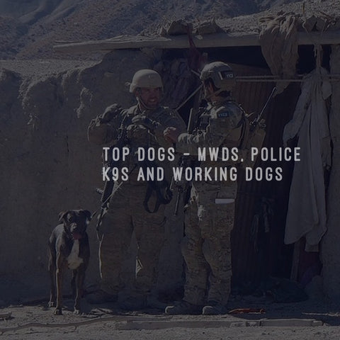 Top Dogs - MWDs, Police K9s and Working Dogs